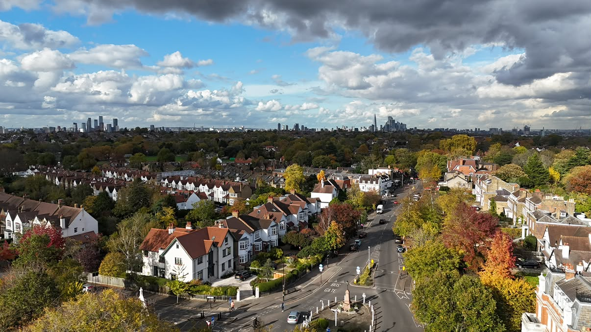 South London neighbourhood of period homes and mature trees with the city skyline beyond
