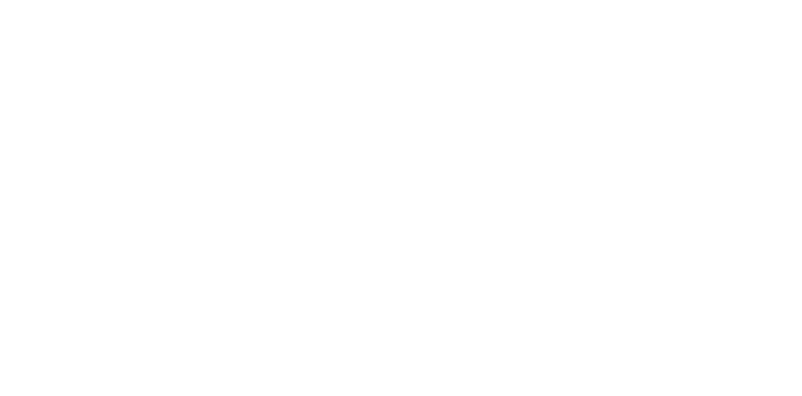 South Surveyors