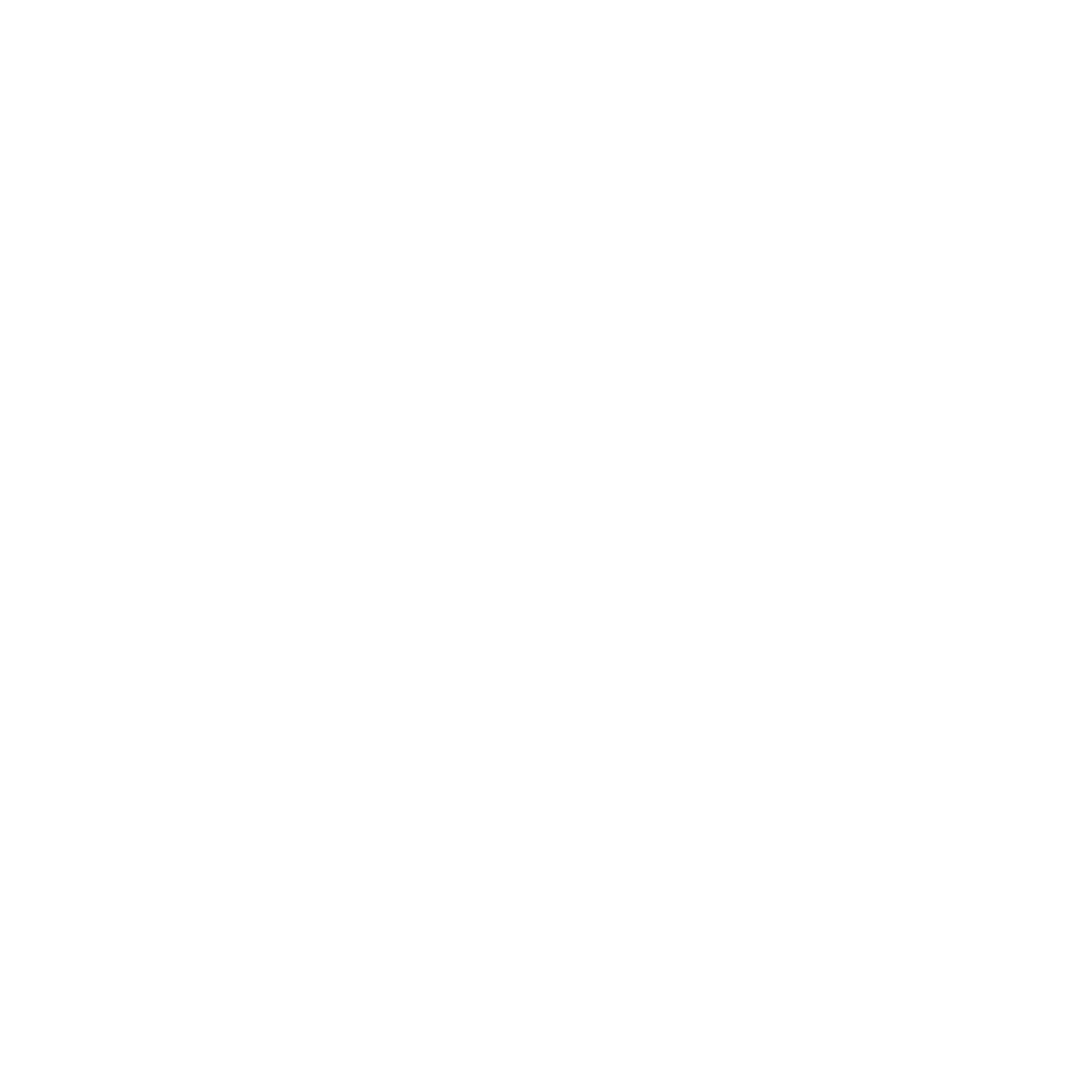 South Surveyors