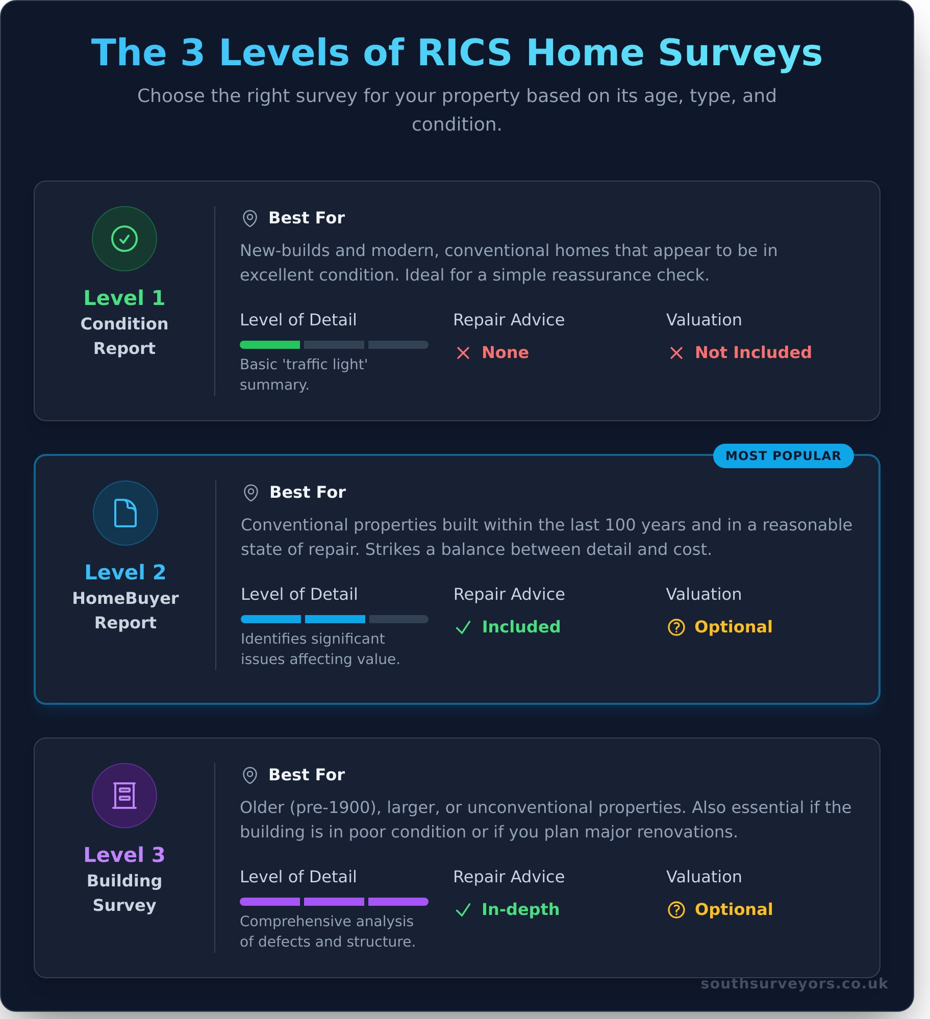 Understanding Your RICS Home Survey: A Plain English Guide - Infographic