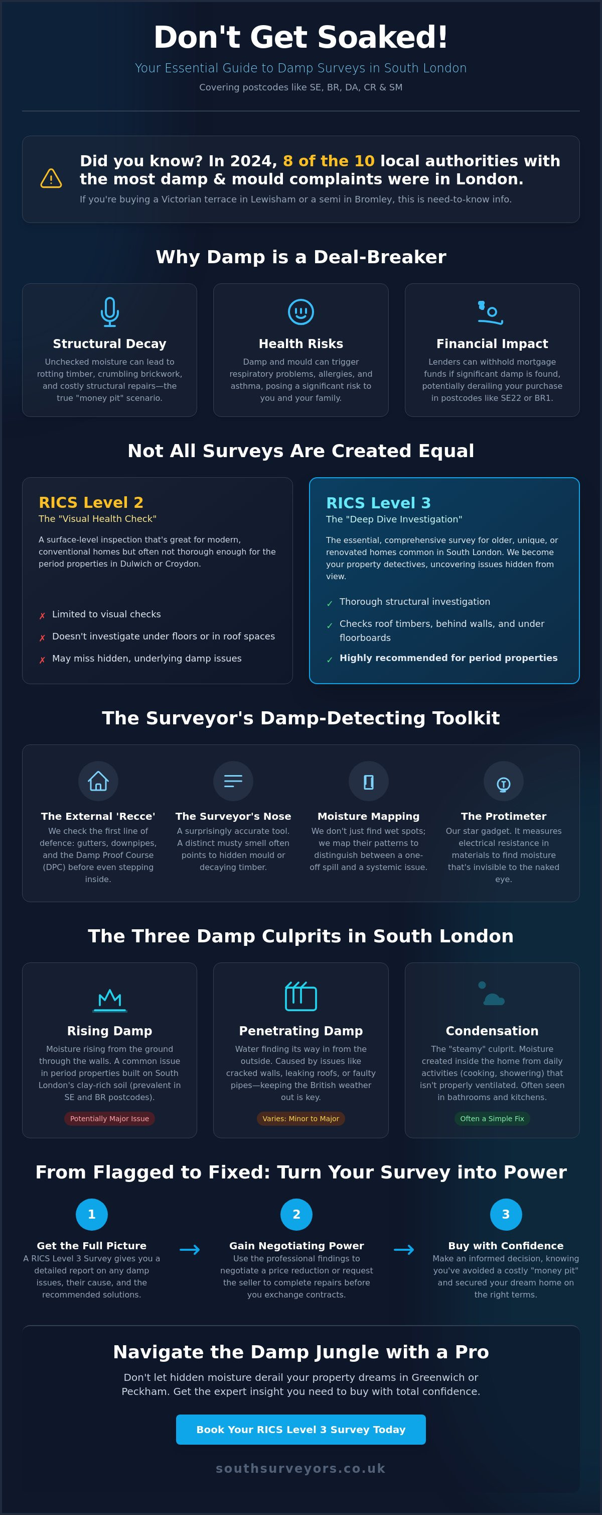 What Does a Building Survey Check for Damp? A No-Nonsense Guide for South London Buyers